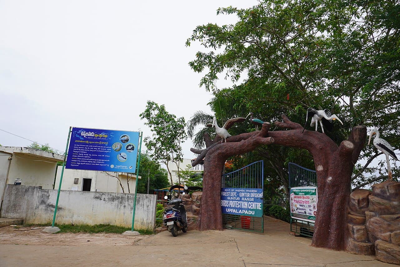 Uppalapadu Bird Sanctuary